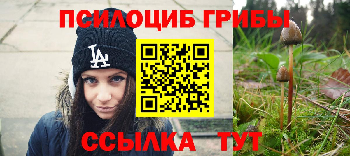 Псилоцибиновые грибы Cubensis Кондопога