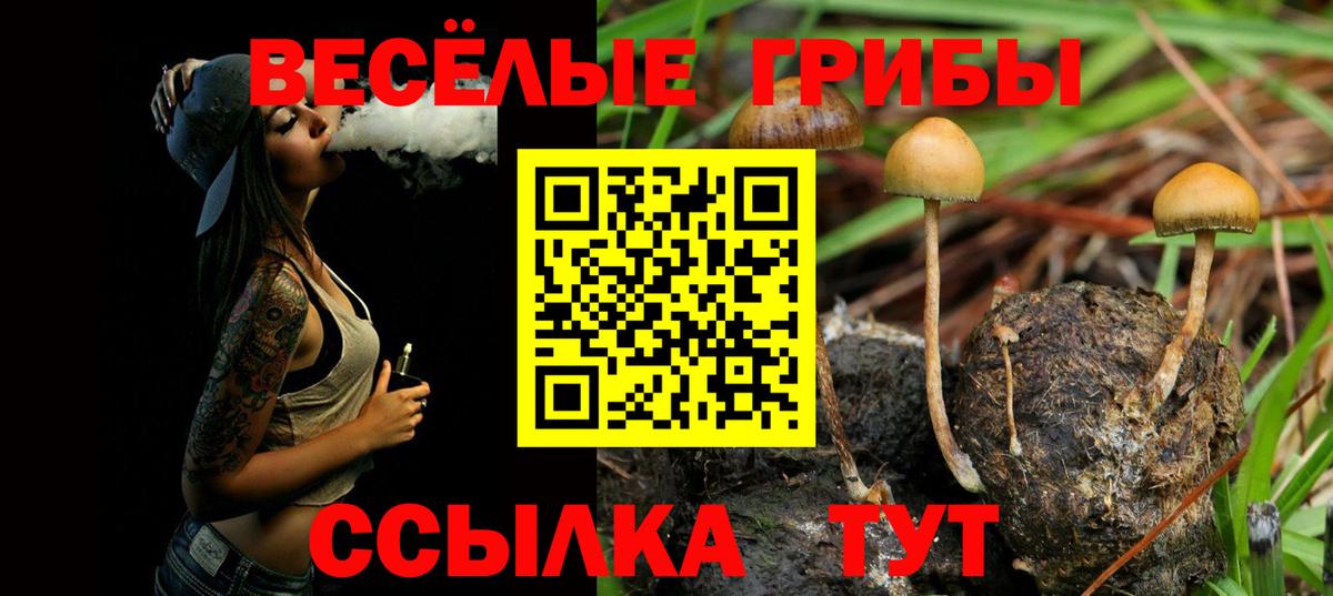 Кондопога  Галлюциногенные грибы мицелий  Вход с VPN 